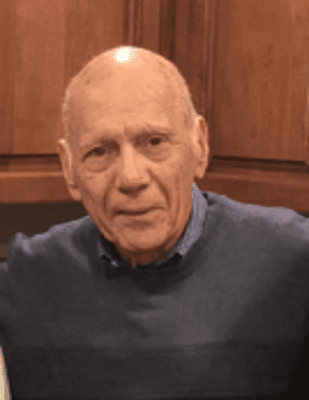 Louis V. DeMasi Obituary