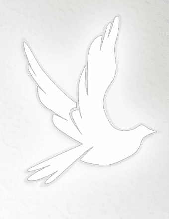 Ann Robinson Obituary